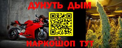 сатива Будённовск
