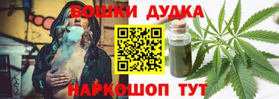 сатива Будённовск