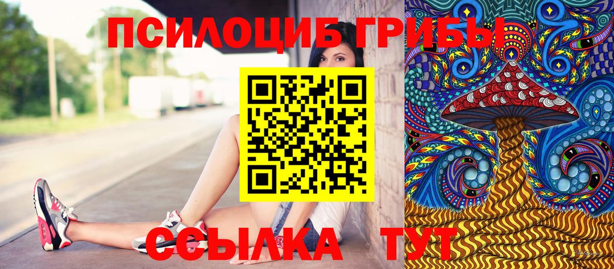 Псилоцибиновые грибы прущие грибы  Вход с VPN  цена наркотик  Соль-Илецк 